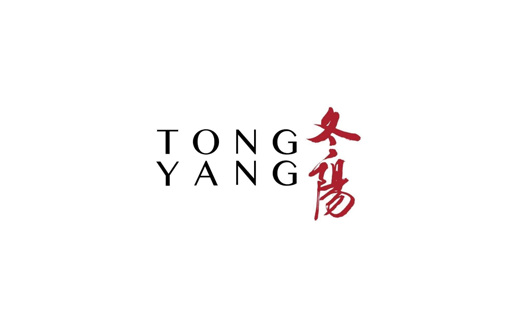 Tong Yang Plus
