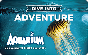 Aquarium