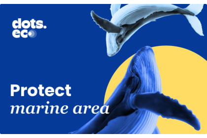 Dots.eco - Protect the marine area GR