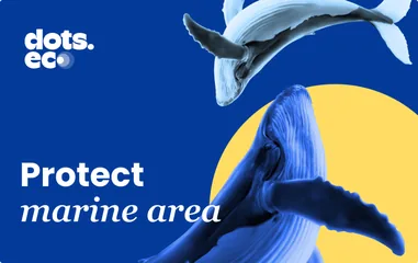 PROTECT OF MARINE AREA UK